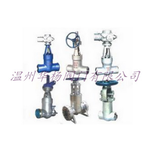 Z61Y-P54140V電站閘閥