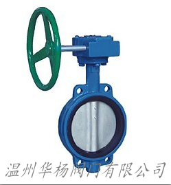 D371X蝸輪對(duì)夾式蝶閥