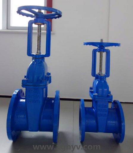 Z41X明桿彈性座封閘閥