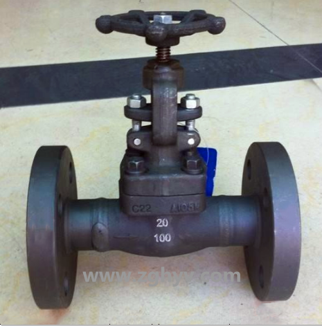 Z41H/Z41Y高壓鍛鋼閘閥