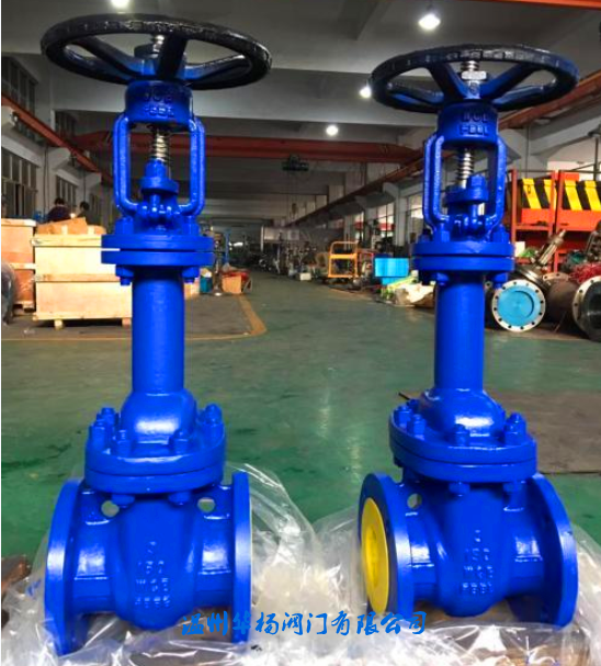 WZ41H-150LB美標波紋管閘閥