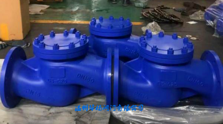 H41H-16C德標(biāo)升降式止回閥